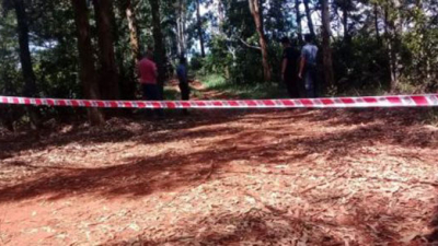 Femicidio en Misiones: encontraron muerta a una joven desaparecida desde el jueves