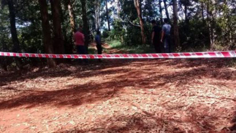Femicidio en Misiones: encontraron muerta a una joven desaparecida desde el jueves