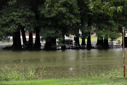 lluvia2.jpg