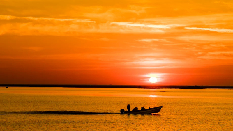 Esteros del Iberá: En la recta final para convertirse en Maravilla Natural Argentina