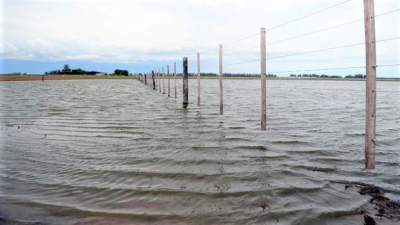 Emergencia hídrica: el área agrícola de siembra se redujo en un 25 por ciento