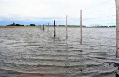 Emergencia hídrica: el área agrícola de siembra se redujo en un 25 por ciento