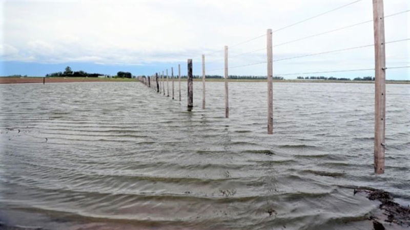 Emergencia hídrica: el área agrícola de siembra se redujo en un 25 por ciento