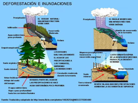 deforestacion-e-inundacione.jpg