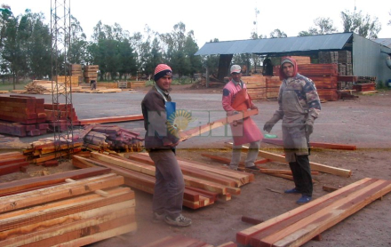 Aserradero forestal.jpg