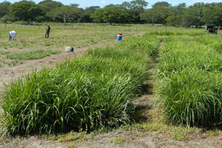 ECOTIPOS-PLI.jpg