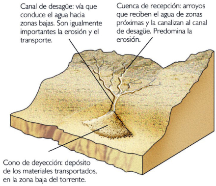 escolar3.jpg