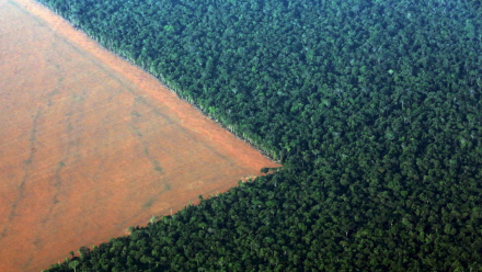 gano-bolsonaro-pierde-la-amazonia-todo-lo-que-esta-victoria-implica-para-el-planeta.jpg