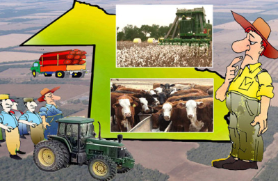 Para el campo, el “PASO” es producir
