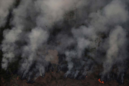 deforesta1.jpg