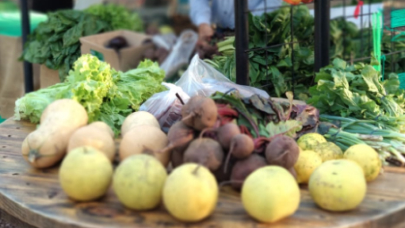 El Ferión Frutihortícola, mañana en Parque 2 de Febrero