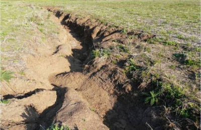 El 36% del suelo argentino sufre procesos de erosión