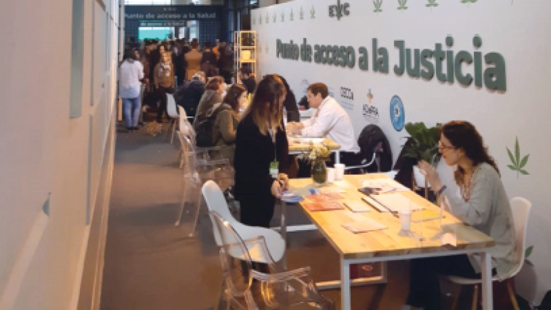 “La interacción de varios cannabinoides genera mayores beneficios”