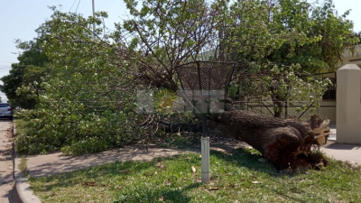 Las ráfagas de viento en Resistencia superaron los 80 km/h ?️