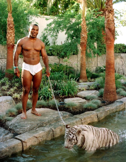 Mike Tyson.jpg