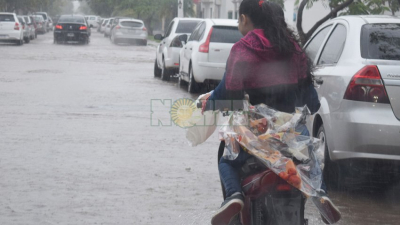 La lluvia trajo alivio en el interior del Chaco