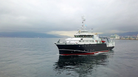 crucero02.jpg