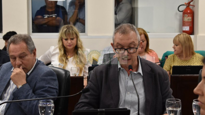 Pedrini pide el veto a una "extravagancia normativa"