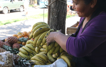 canasta basica.JPG