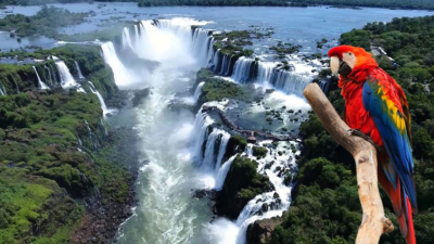 Ushuaia, Bariloche e Iguazú encabezan las búsquedas de argentinos para estas fiestas