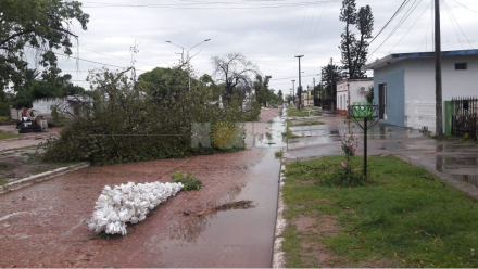 Du Graty tormenta 2.JPG
