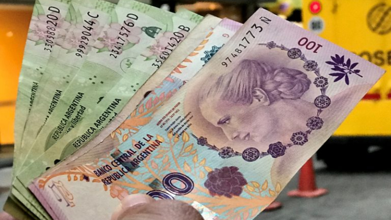 El Banco Central confirmó que sacará a los animales de los billetes y analiza lanzar de 2 mil o 5 mil pesos