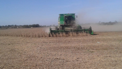 En el Chaco productores preparan propuestas de segmentación