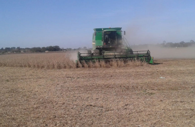En el Chaco productores preparan propuestas de segmentación