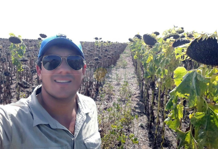 productor girasol.jpg