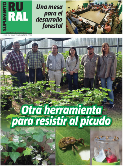 Otra herramienta para resistir al picudo
