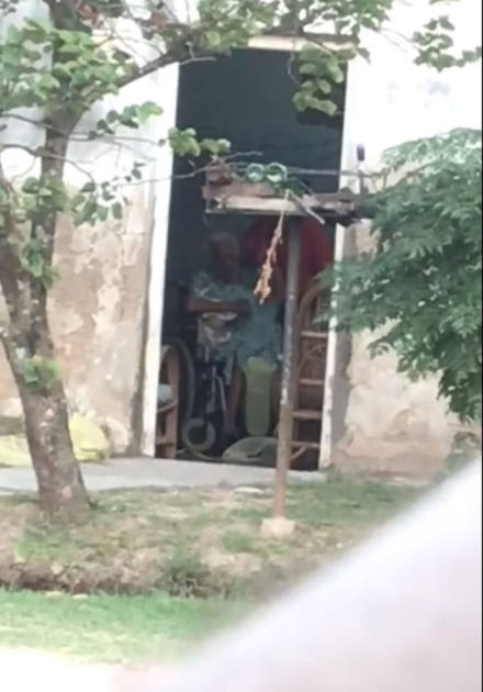 ABUELA-GOLPEADA-.jpg
