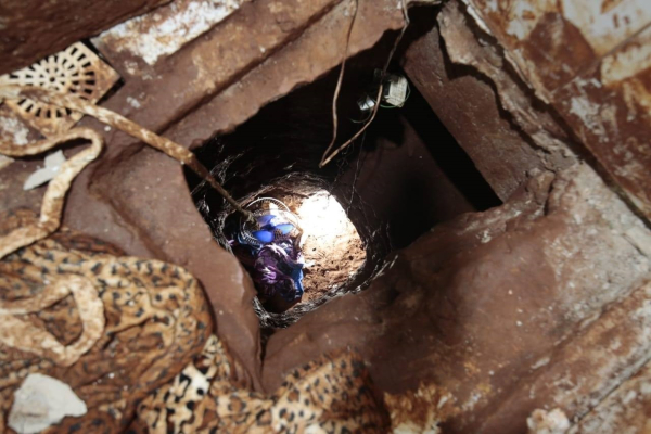 Foto 6
