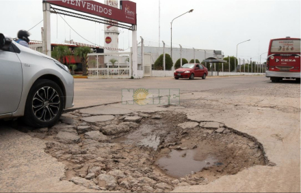 bache 1.JPG
