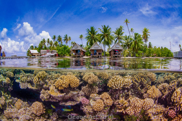 "Paraíso"
5to lugar - Taeyup Kim - Fakarava, Polinesia Francesa