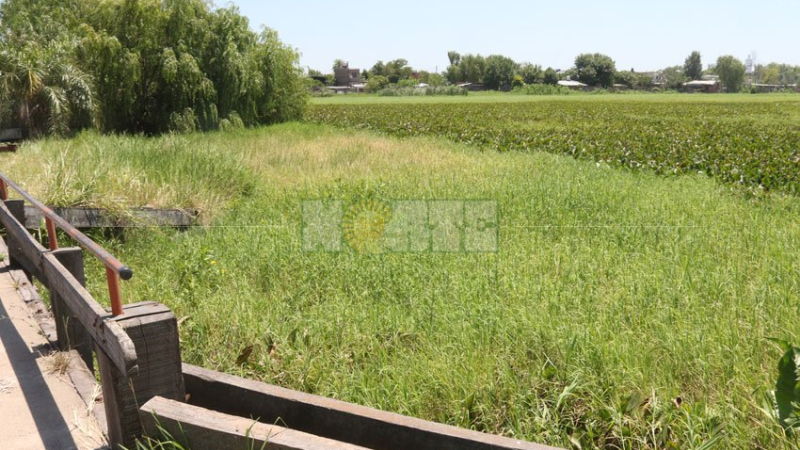 A la laguna de Villa Chica no se le ve el agua desde hace años