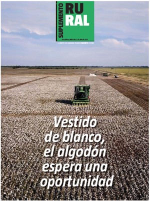 Vestido de blanco, el algodón espera una oportunidad