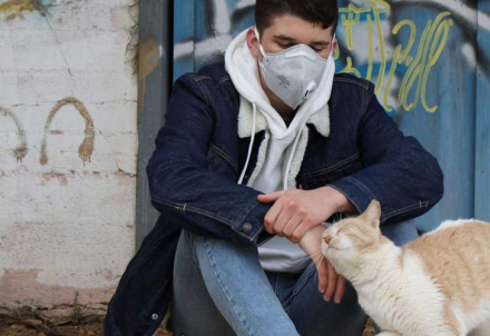 gato3.jpg
