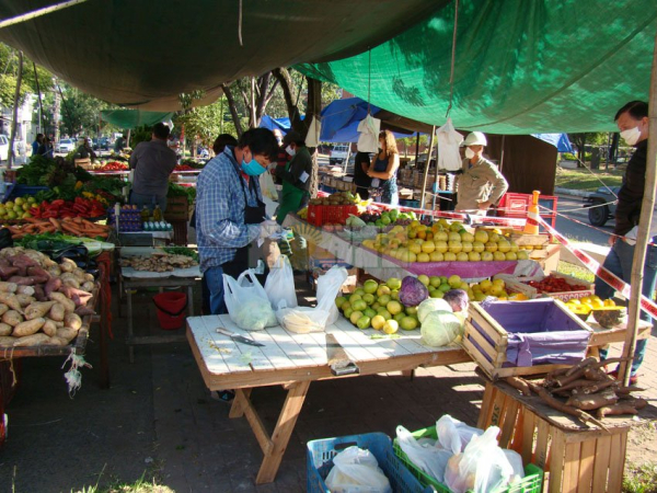 Foto 6