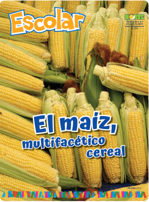 El maíz, multifacético cereal