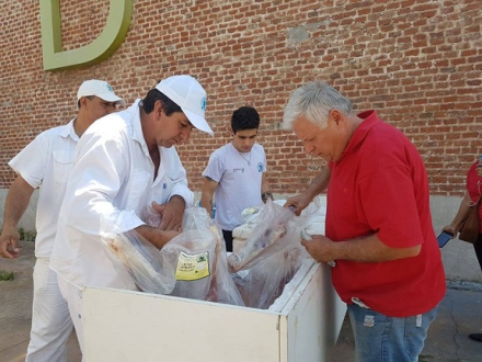 cabras.jpg