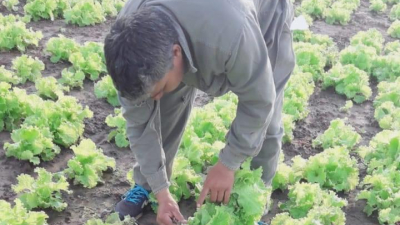 10 millones de pesos a consorcios rurales para darle continuidad a la producción
