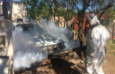 Dengue: Sáenz Peña ya tiene 145 casos confirmados