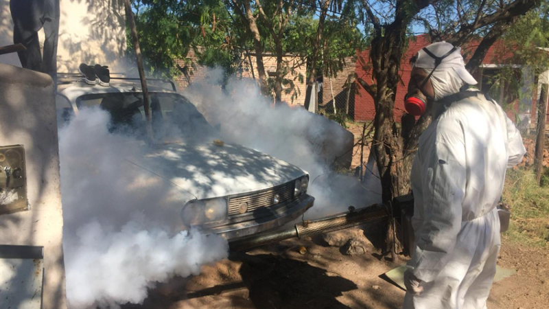 Dengue: Sáenz Peña ya tiene 145 casos confirmados
