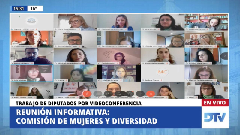 La Cámara de Diputados realizó una reunión con especialistas sobre derechos sexuales y reproductivos de las mujeres