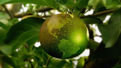 Día Mundial del Medio Ambiente: ¿hay esperanzas?
