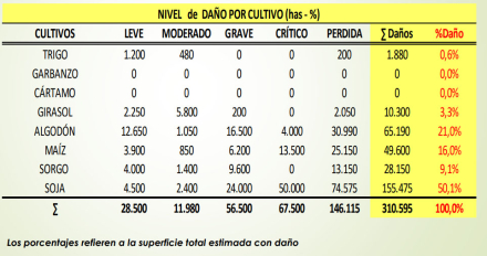 58daños.jpg