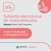 cartel subasta.jpg