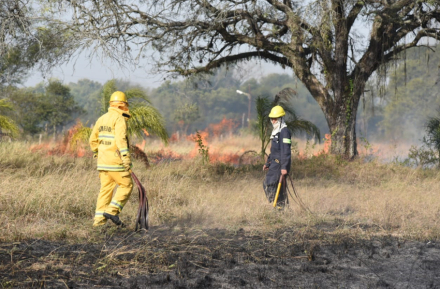 incendio6.jpg