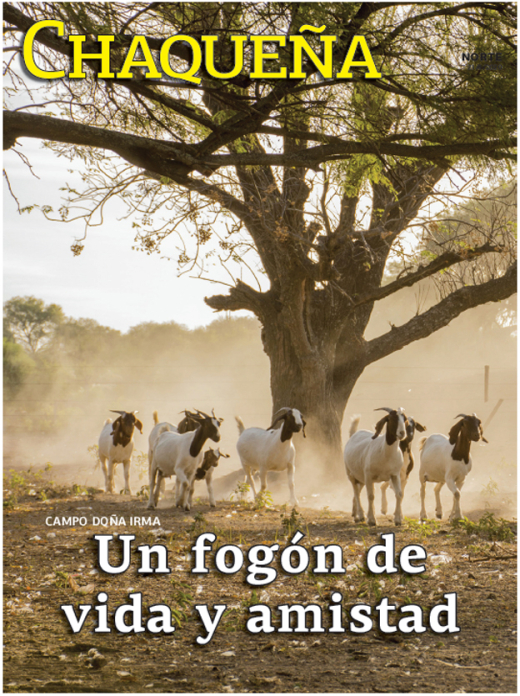 Un fogón de vida y amistad
