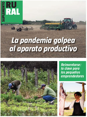 La pandemia golpea al aparato productivo